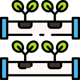 hydroponic farming in India