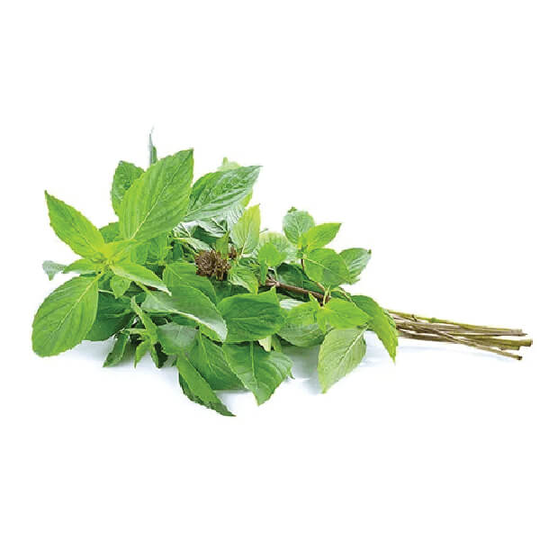 Wholesale Herb Suppliers In Pune