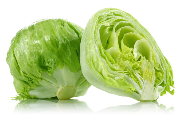 Iceberg-Lettuce-Provider-in-india