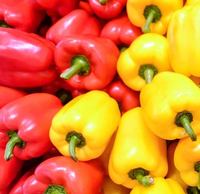 Fresh Vegetable Supplier In Pune